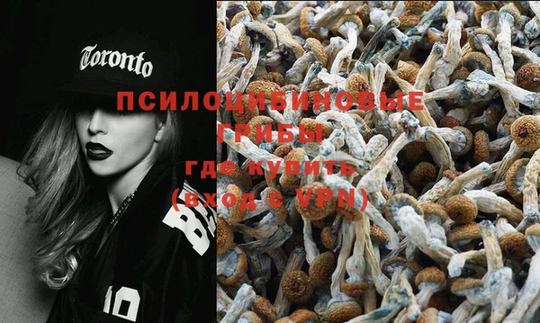 молекула духа Белокуриха
