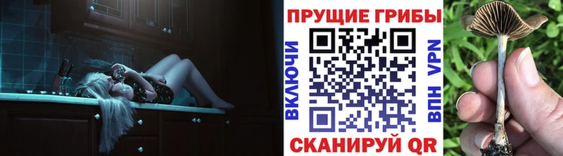 Галлюциногенные грибы Psilocybine cubensis  Дигора 